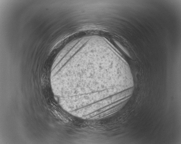 X0000085010775200704021359