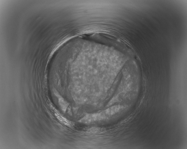 X0000085010779200704021359