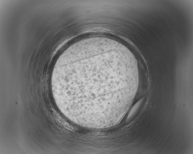 X0000085010783200704021359