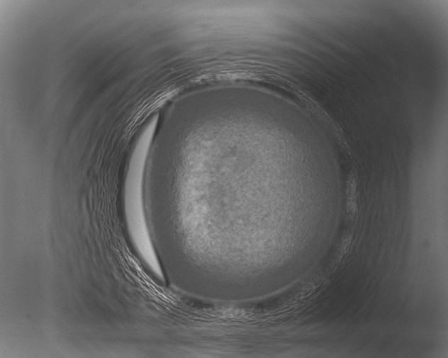 X0000085010785200704021359