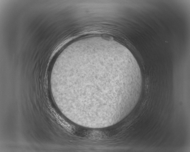 X0000085010787200704021359