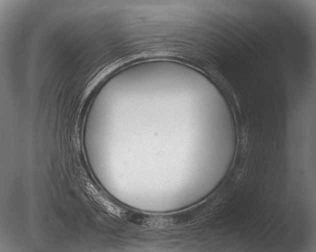 X0000085010789200704021359