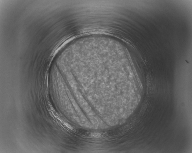 X0000085010790200704021359