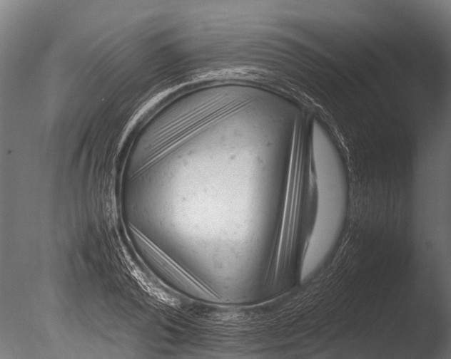 X0000085010792200704021359