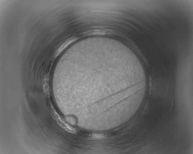 X0000085010794200704021359