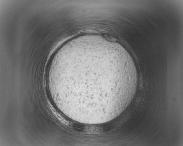 X0000085010795200704021359