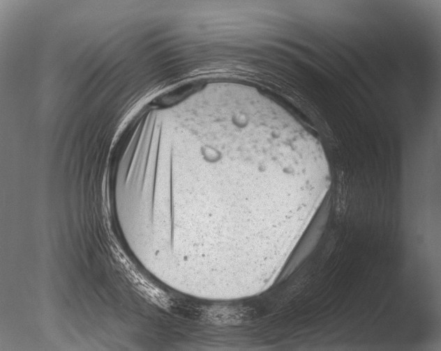 X0000085010796200704021359