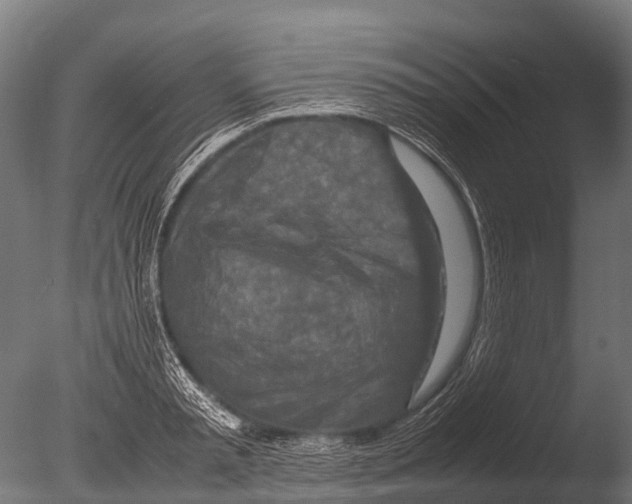 X0000085010797200704021359