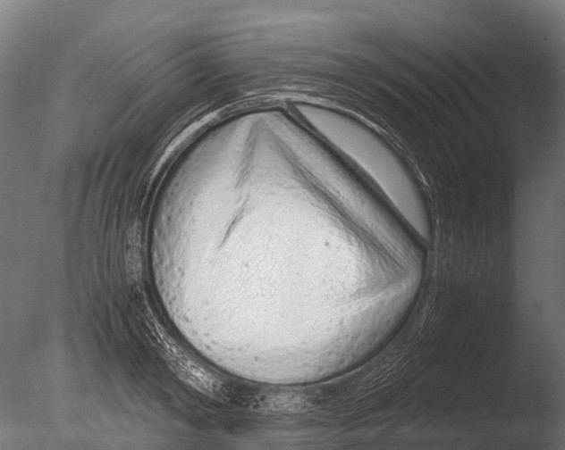 X0000085010798200704021359