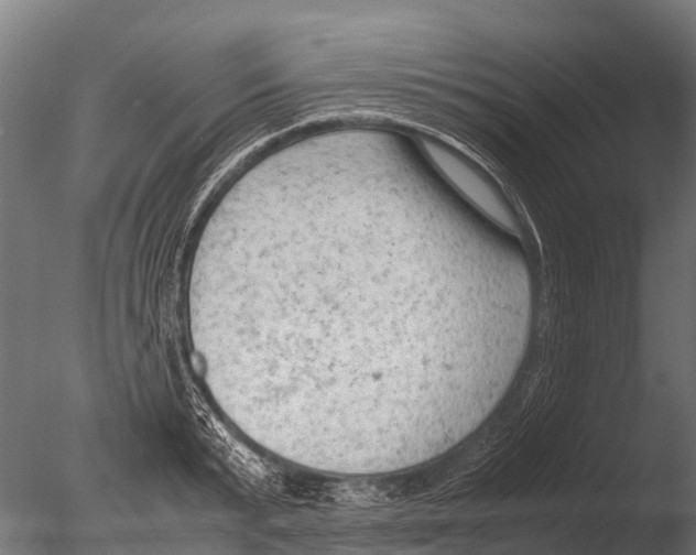 X0000085010799200704021359