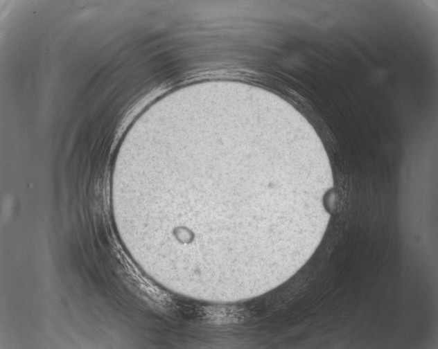 X0000085010804200704021359