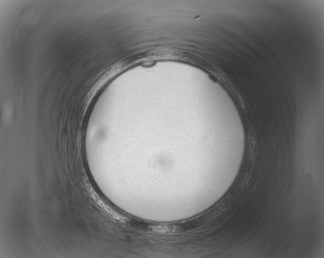 X0000085010805200704021359