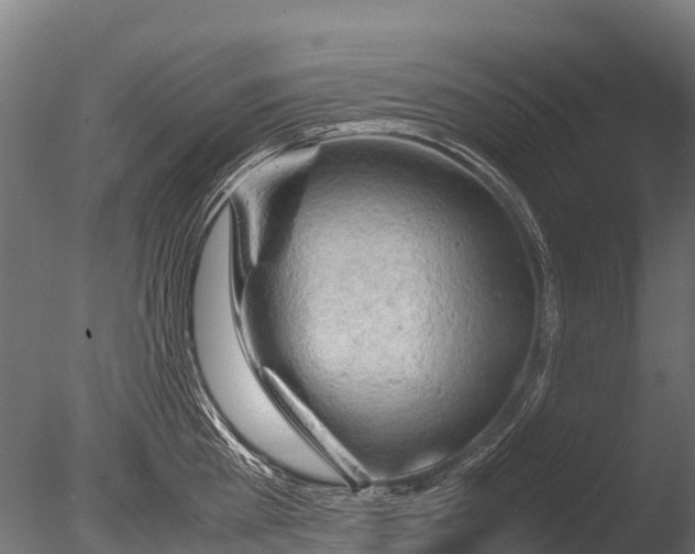 X0000085010809200704021359