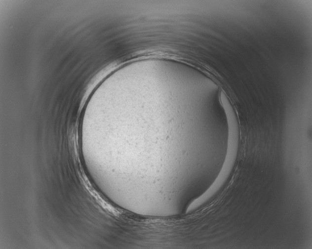 X0000085010812200704021358