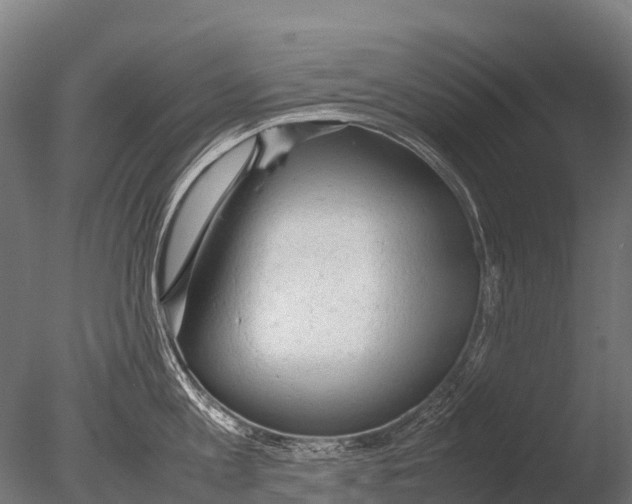 X0000085010813200704021358