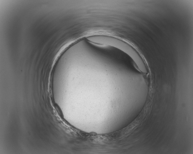 X0000085010815200704021358