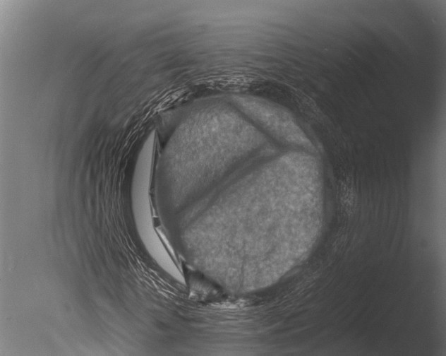 X0000085010818200704021358