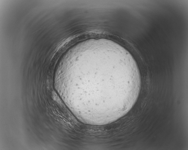 X0000085010823200704021358