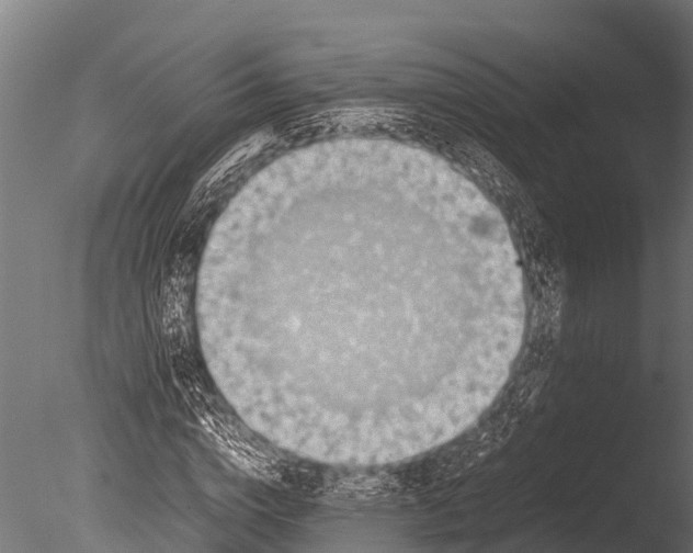 X0000085010824200704021358