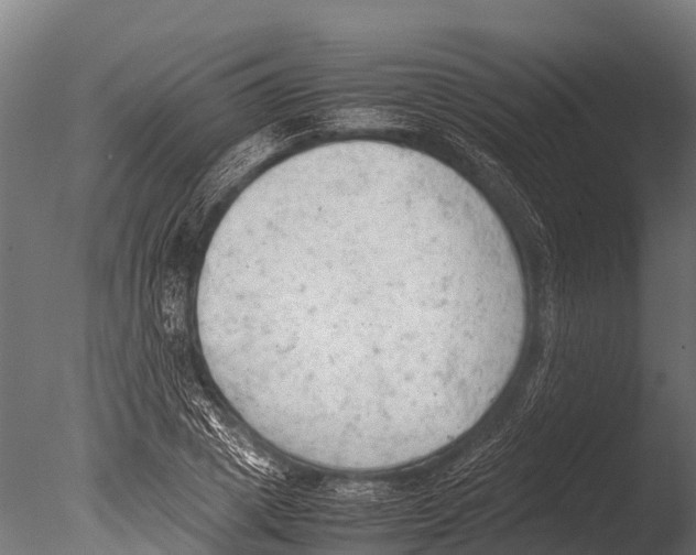 X0000085010833200704021358