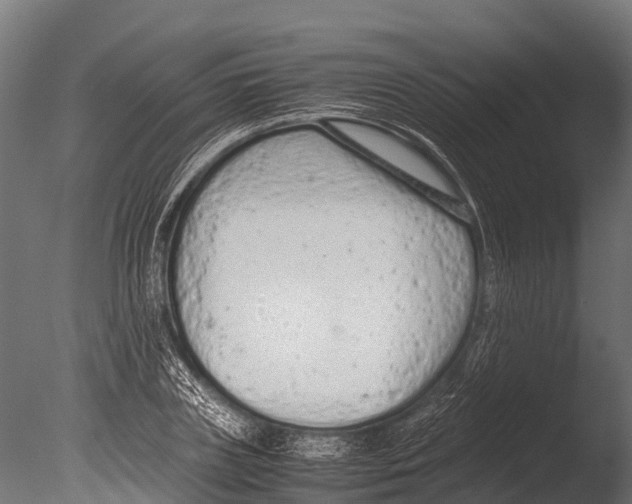 X0000085010835200704021358