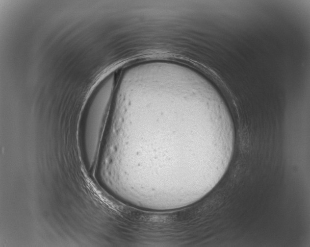 X0000085010839200704021358