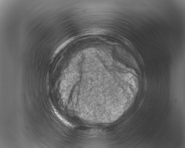 X0000085010842200704021358