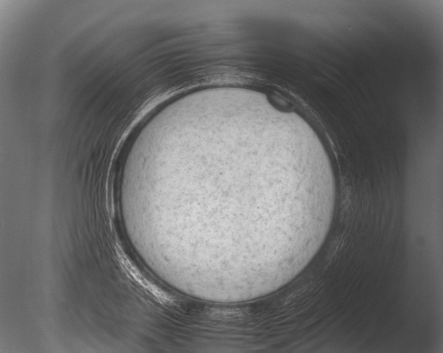 X0000085010843200704021358