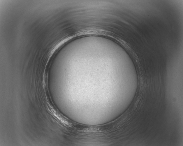 X0000085010846200704021358