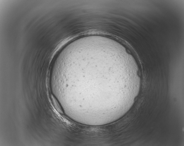 X0000085010847200704021358