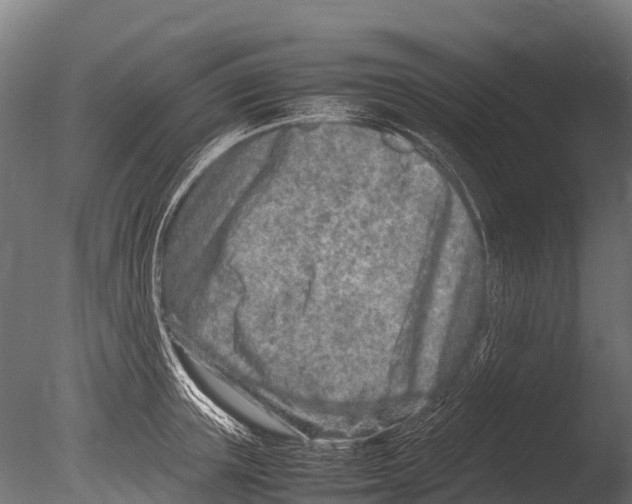 X0000085010851200704021358