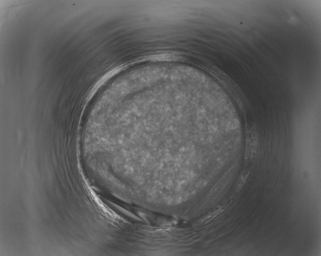 X0000085010853200704021358