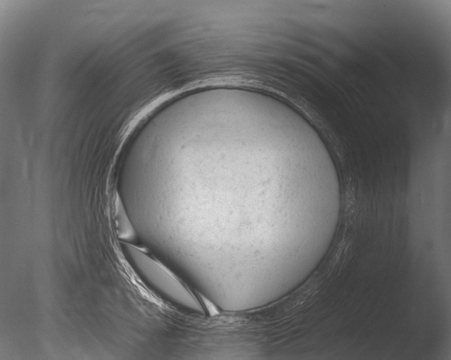 X0000085010854200704021358