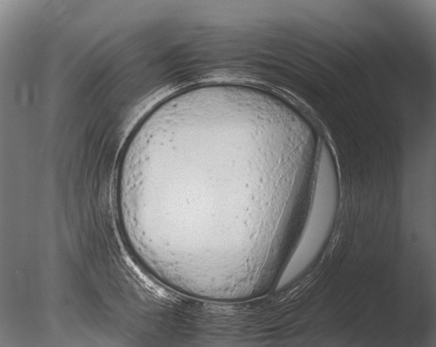 X0000085010855200704021358