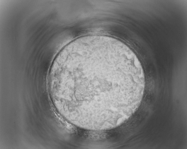 X0000085010856200704021358