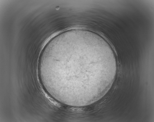 X0000085010861200704021358