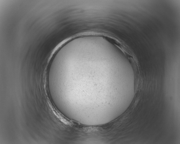 X0000085010862200704021358