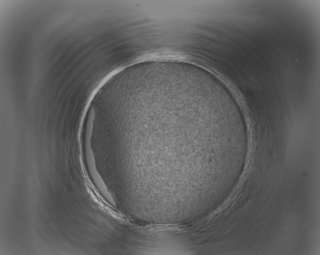 X0000085010864200704021358