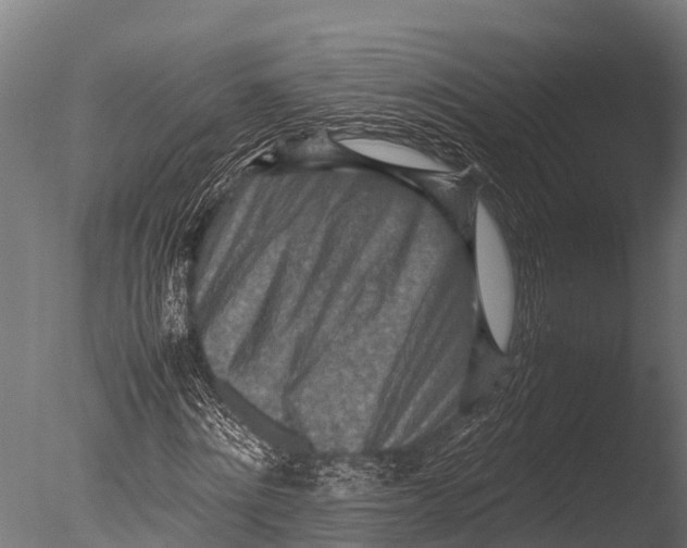 X0000085010868200704021358