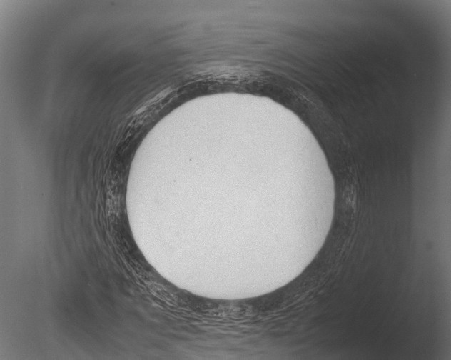 X0000085010869200704021357