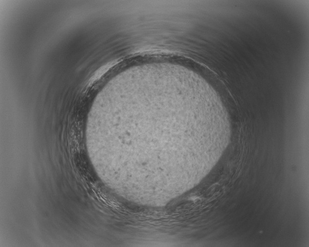 X0000085010871200704021357