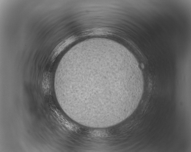 X0000085010874200704021357