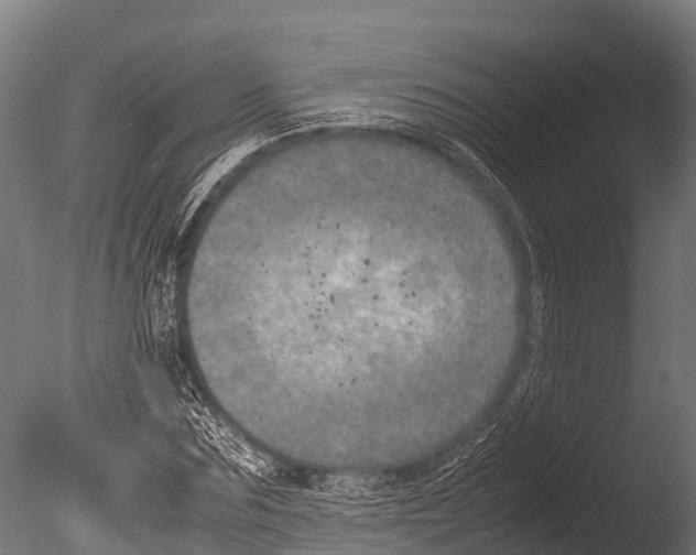 X0000085010875200704021357