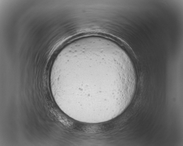 X0000085010879200704021357