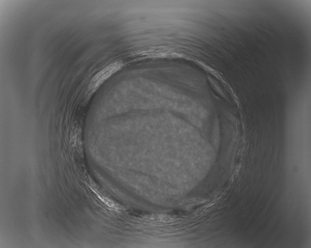 X0000085010881200704021357