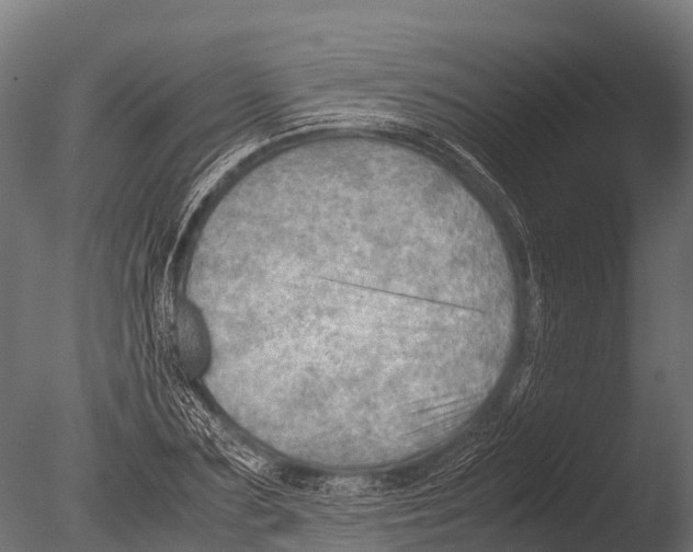 X0000085010883200704021357