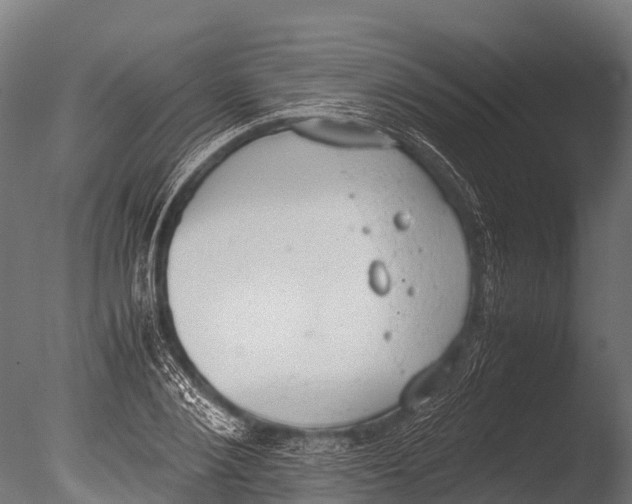 X0000085010884200704021357