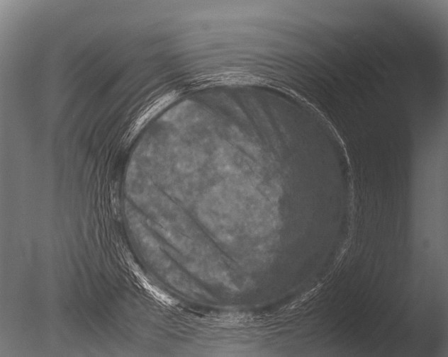 X0000085010889200704021357