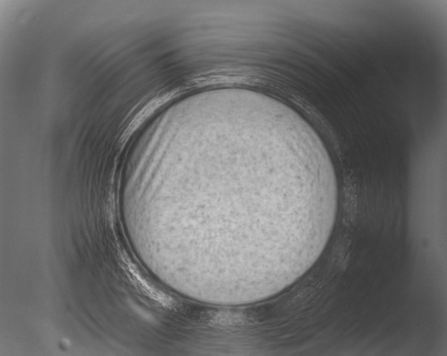 X0000085010890200704021357