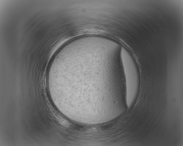 X0000085010891200704021357